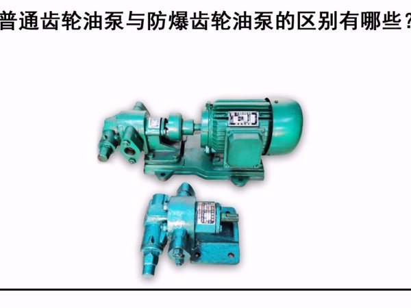 普通齒輪油泵與防爆齒輪油泵的區別有哪些？